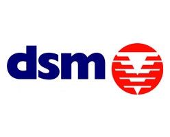 DSM Demolition Limited